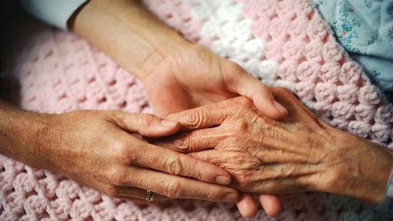 LMP: az otthonápolás legyen teljesértékű munkavégzés