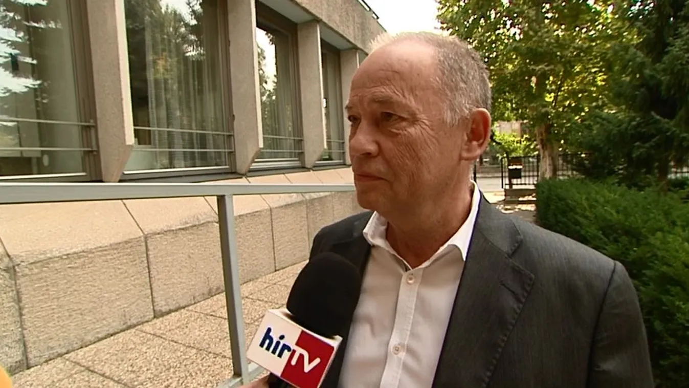 Közös baloldali kampányt javasol a MSZP EP-képviselője