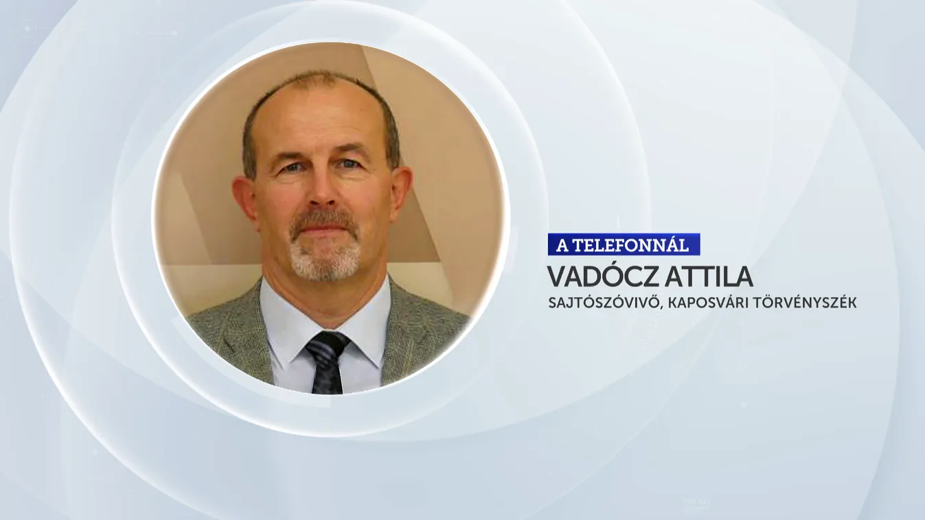 Egy fiatal fiúval fajtalankodhatott az egykori LMP-s politikus + videó