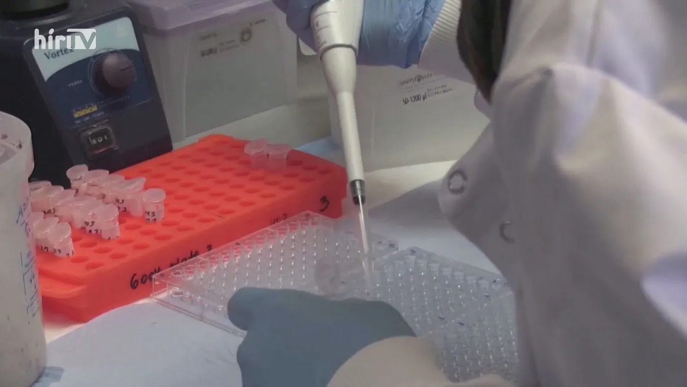 Az AstraZeneca oltóanyaga hatékony az Európában jelenlévő variánsokkal szemben
