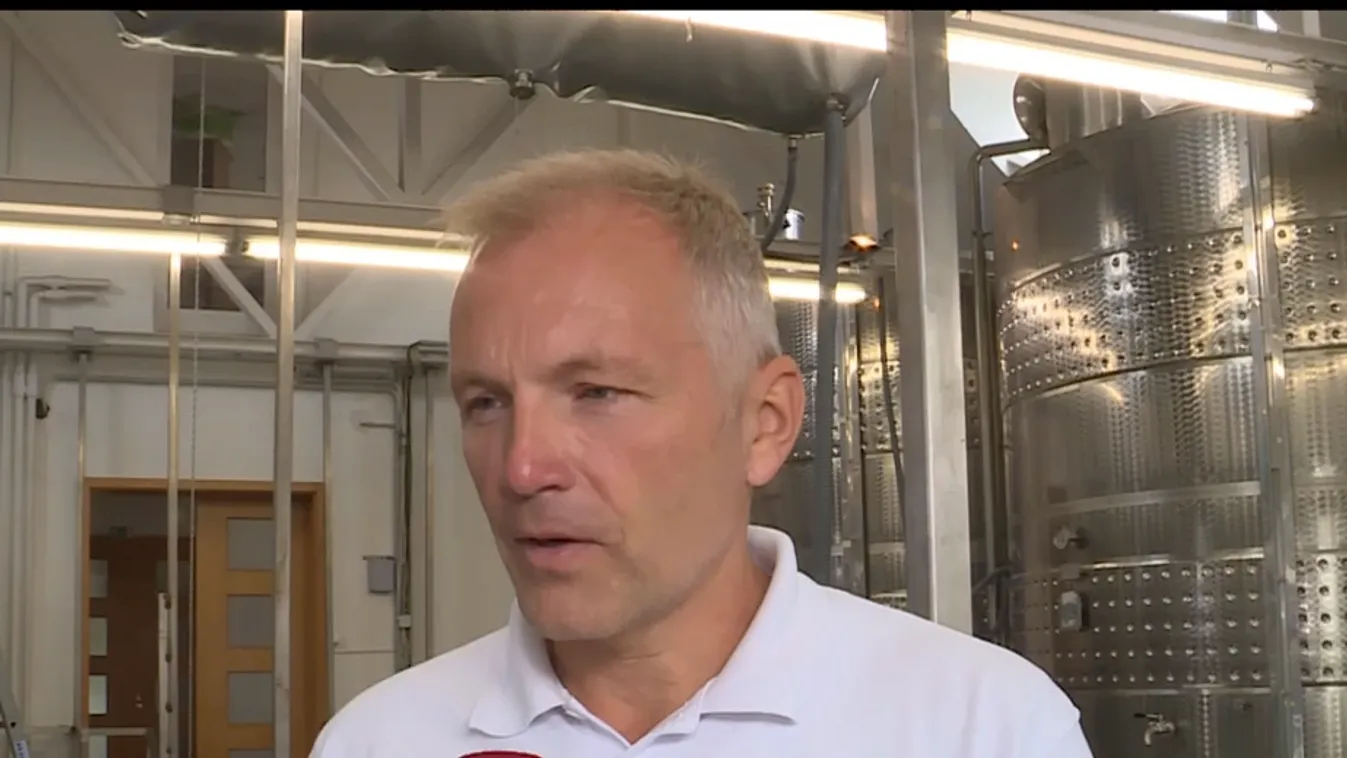 Napindító - A mustgáz veszélyei