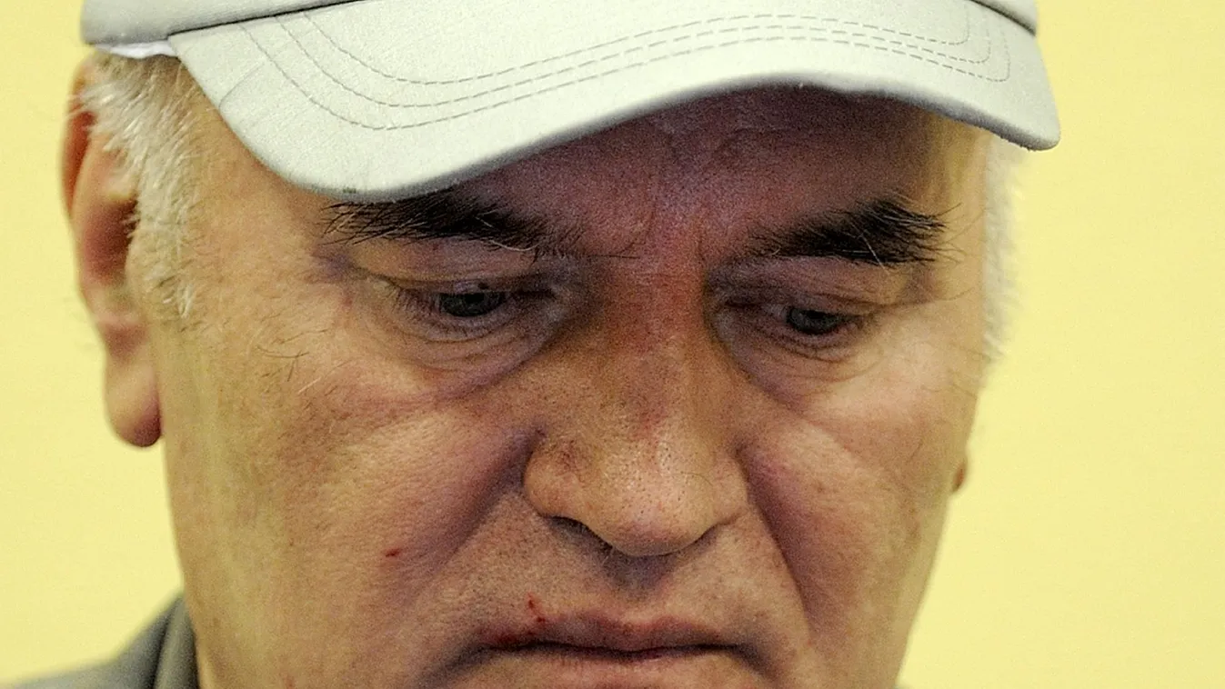 Életfogytiglant kapott Mladic