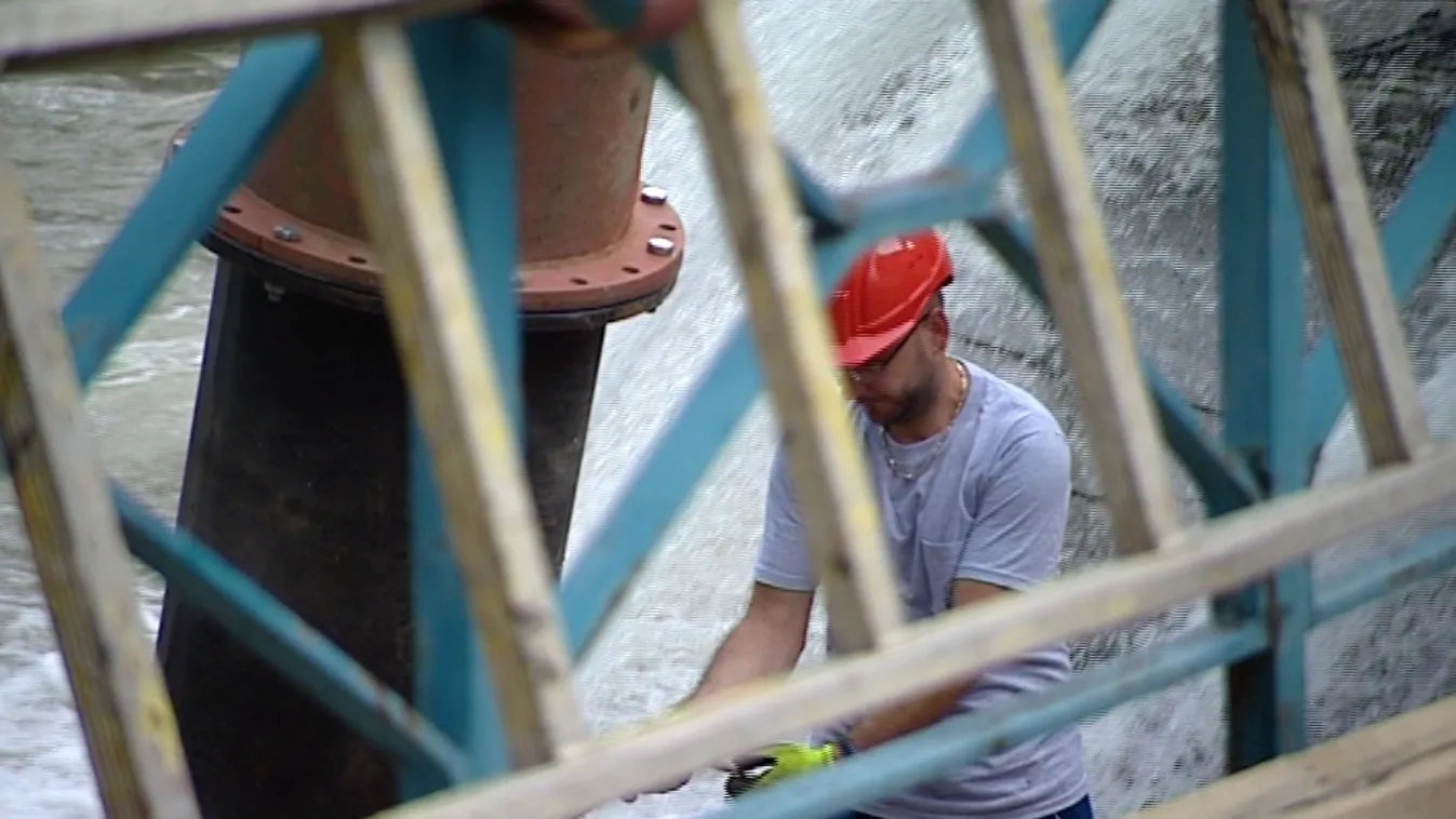 Európai szintű kampányba fogott a WWF