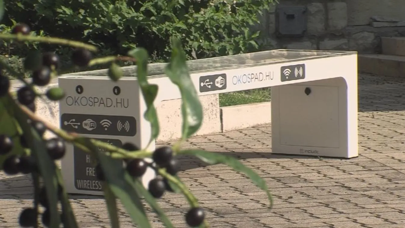 Okospadot kaptak a pécsi egyetemisták