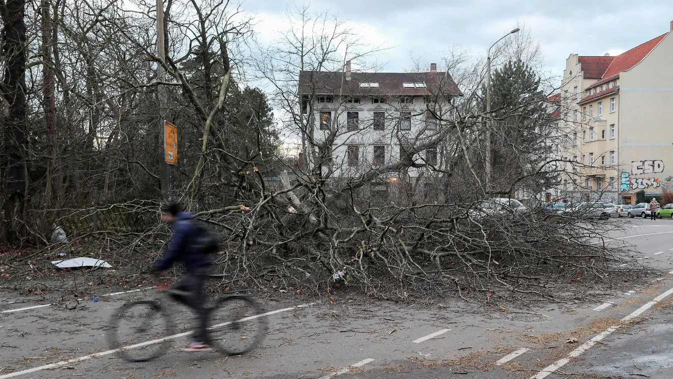 Mabisz: A hárommilliárd forintot is megközelíti a februári viharszámla