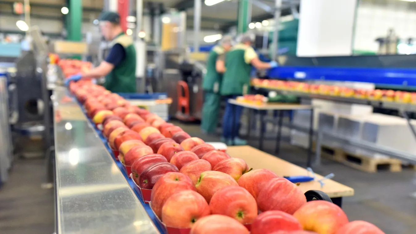 Az EU elfogadta Magyarország közös agrárpolitikára vonatkozó 8,4 milliárd eurós stratégiai tervét