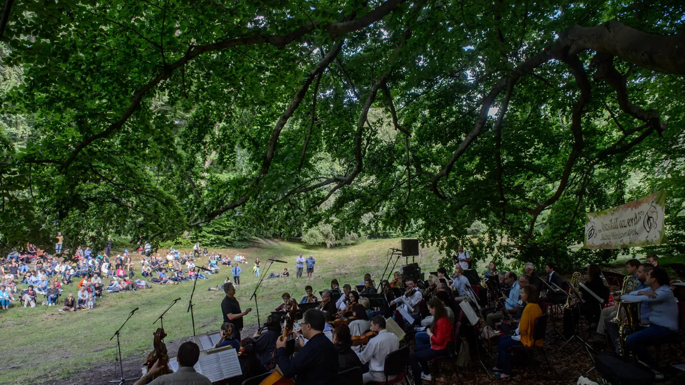 Muzsikál az erdő - Szentpéteri Sándor: Az erdő az életet jelenti