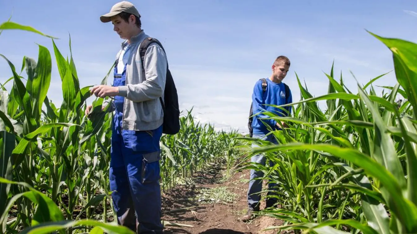 Sok a szabálytalanság és a baleset