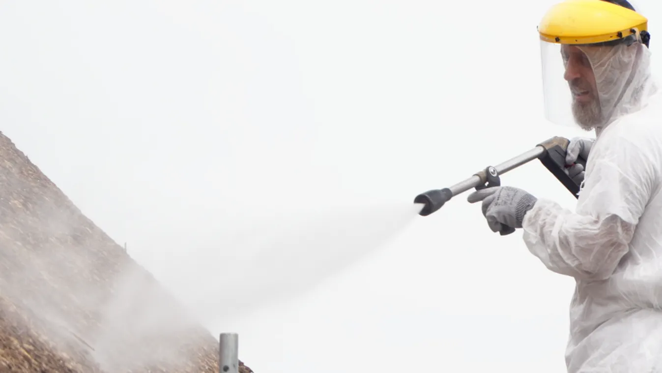 Új lángmentesítő kezelés hozhat áttörést a magyar nádtetők építésében