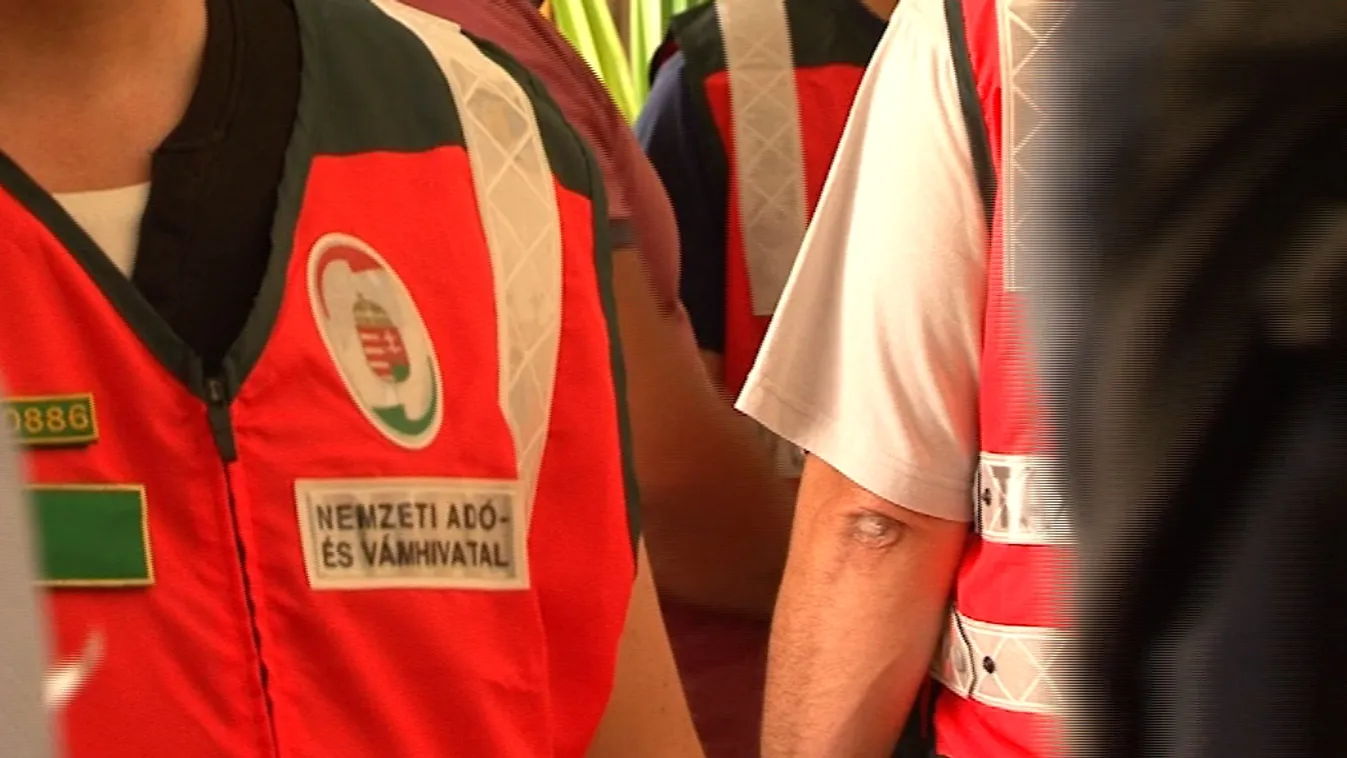 Czeglédy-ügy: eggyel nőtt az őrizetbe vettek száma