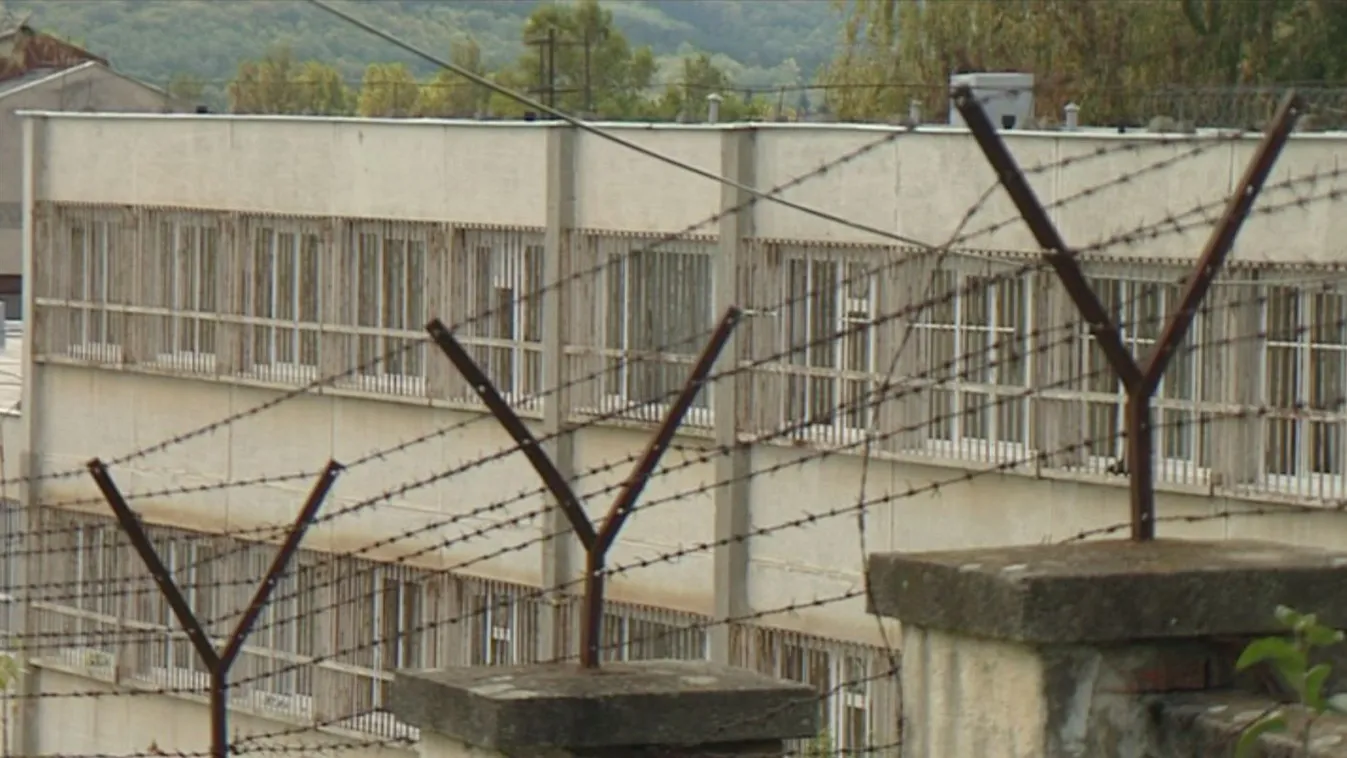 Aszód polgármesterét nem értesítették a gyerekekről