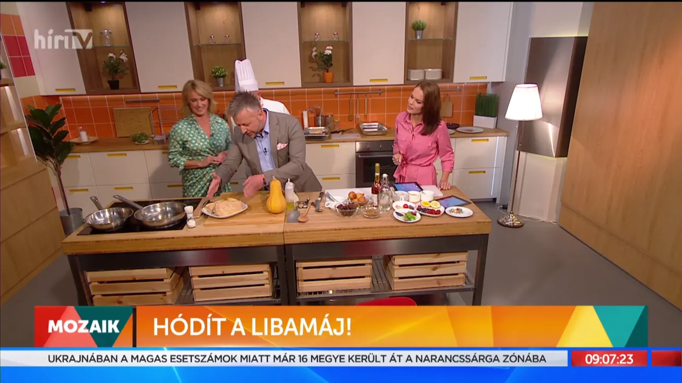 Mozaik: Hódít a libamáj