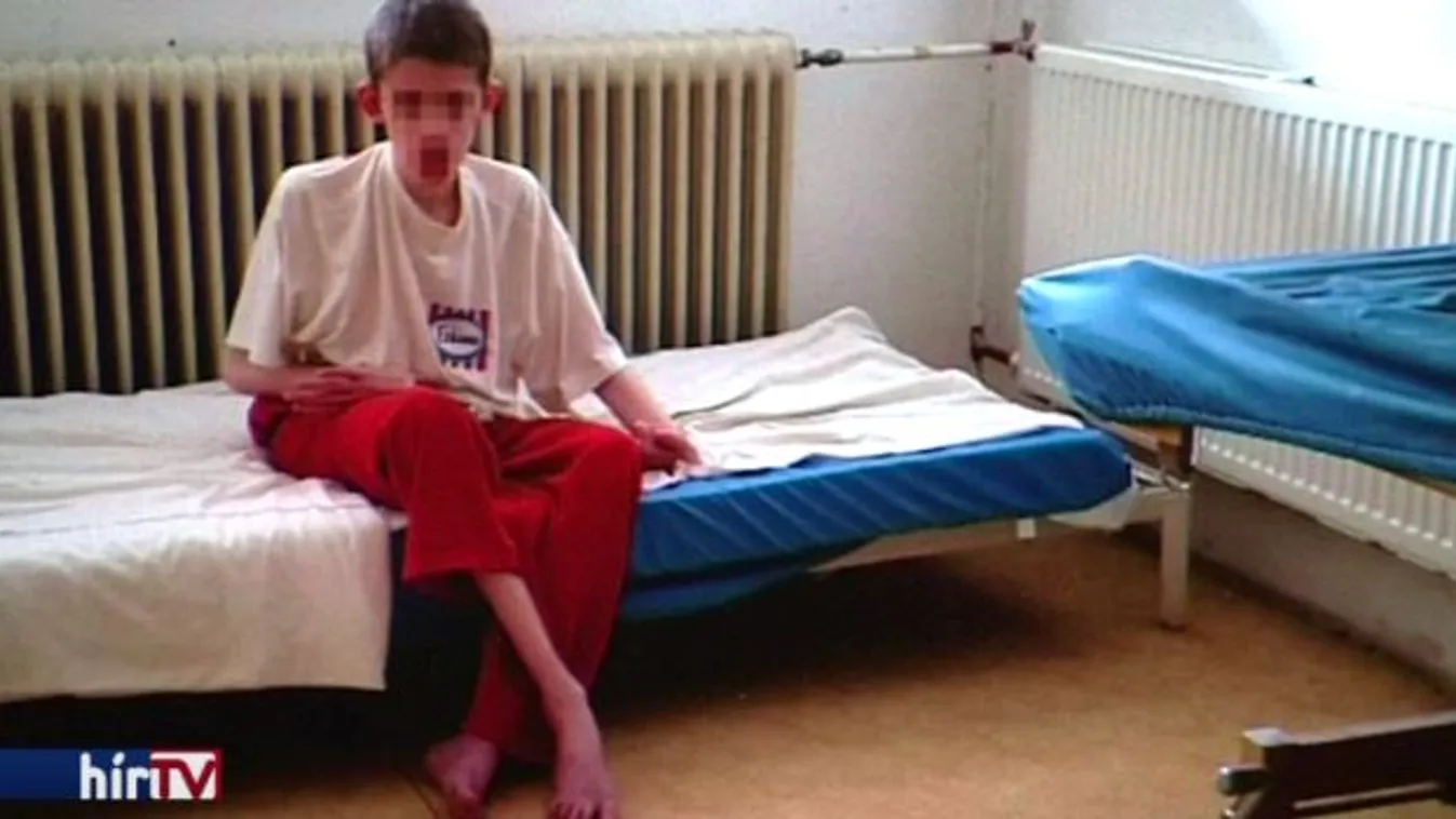 Tudták, mi folyik a Topházban, mégsem tettek semmit