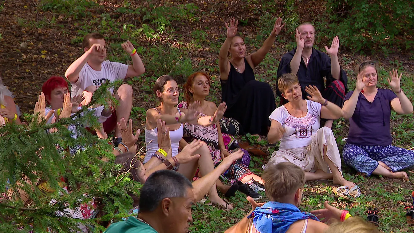 Radar: Napszarvas Fesztivál