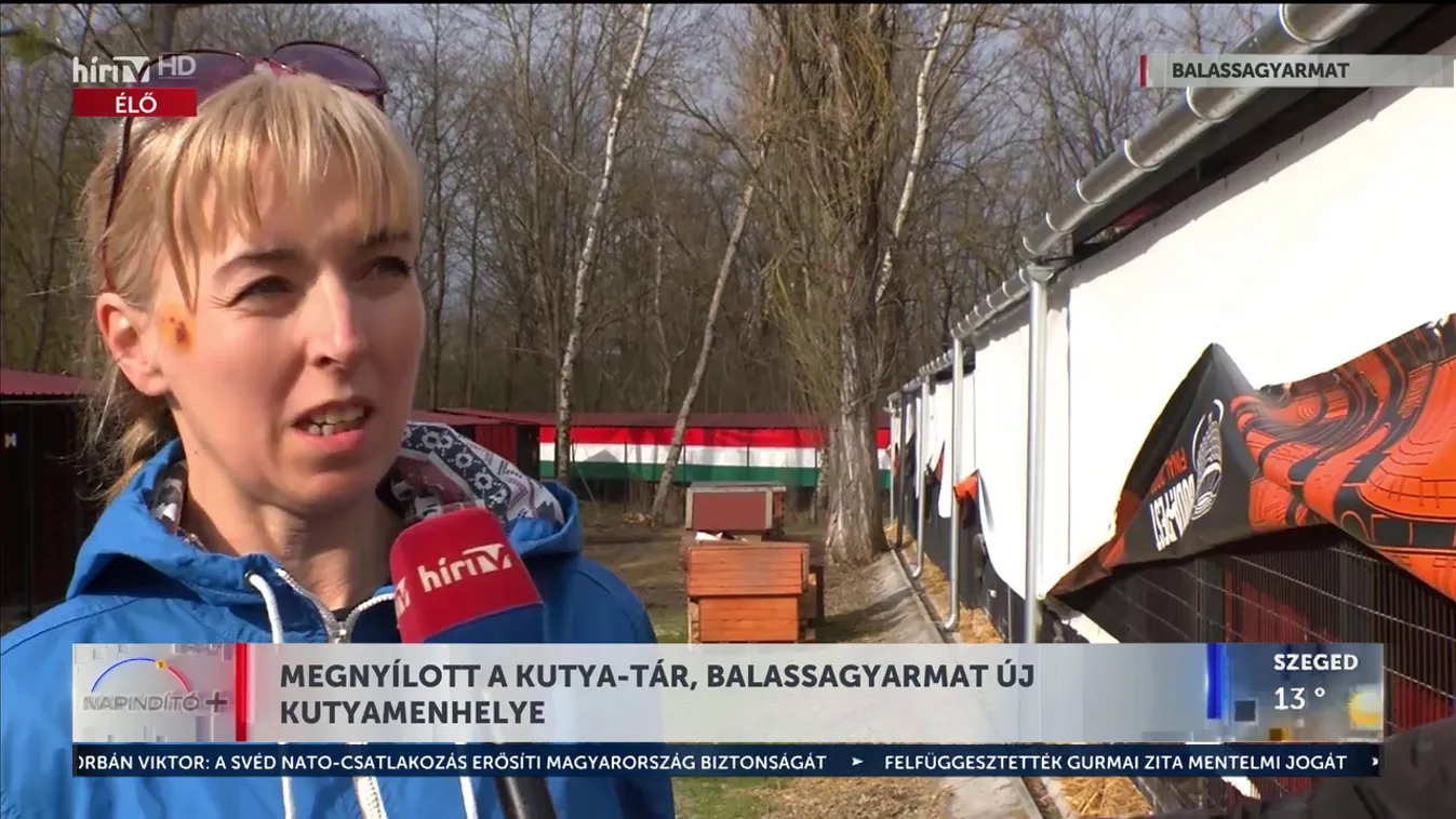 Felújított telephellyel bővült a balassagyarmati kutyamenhely + videó