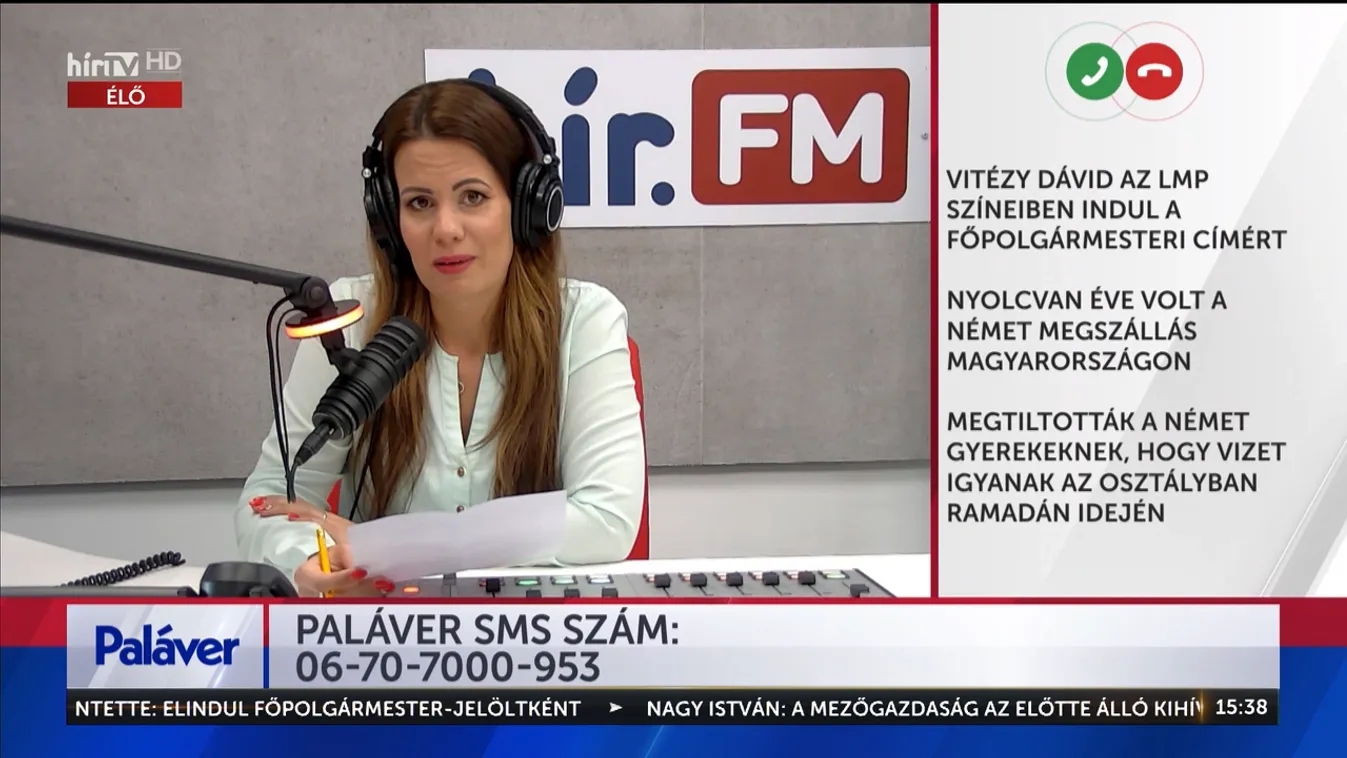 Paláver: Vitézy Dávid az LMP színeiben indul a főpolgármesteri címért + videó