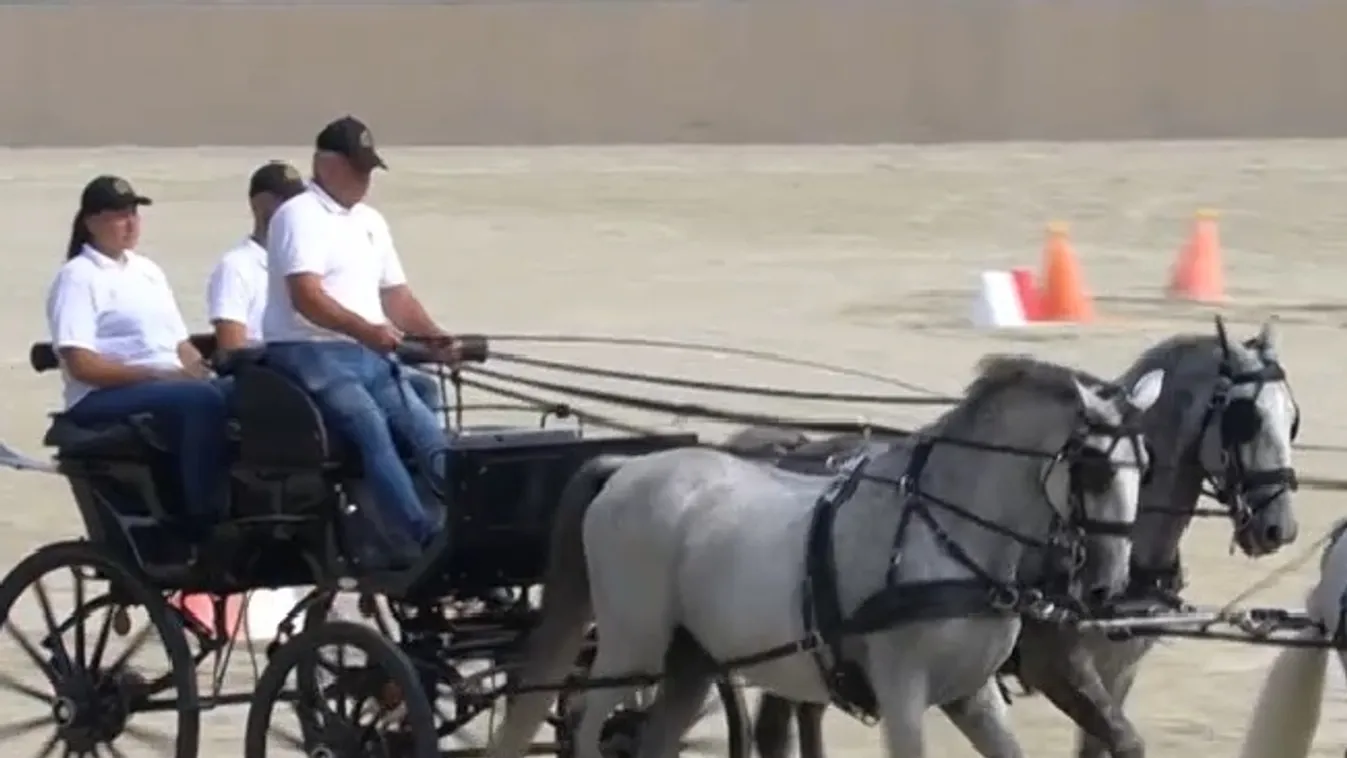 Radar – 40 év után újra fogathajtó világbajnokság Szilvásváradon + videó