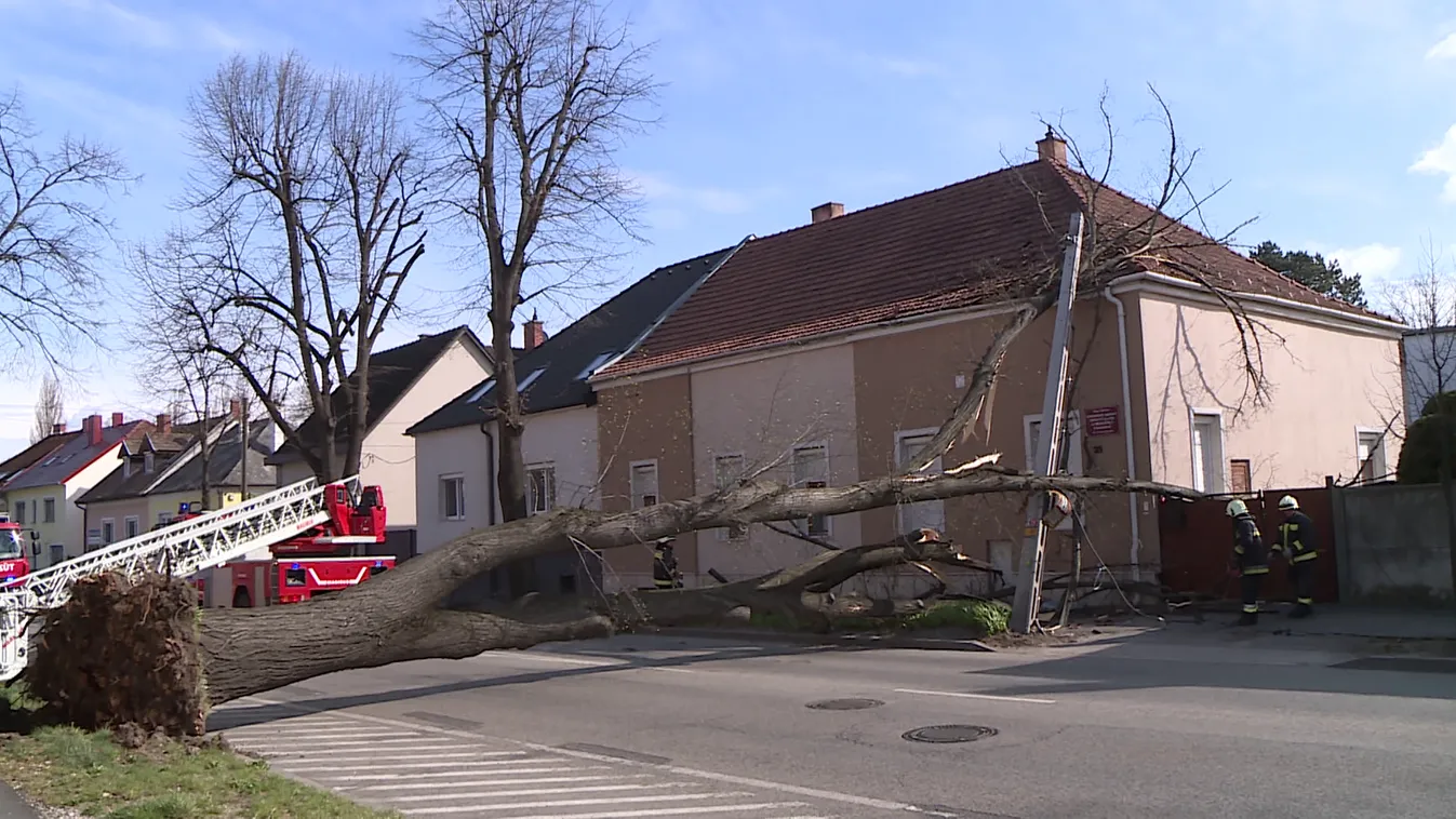 Radar - Hol vagy már tavasz?