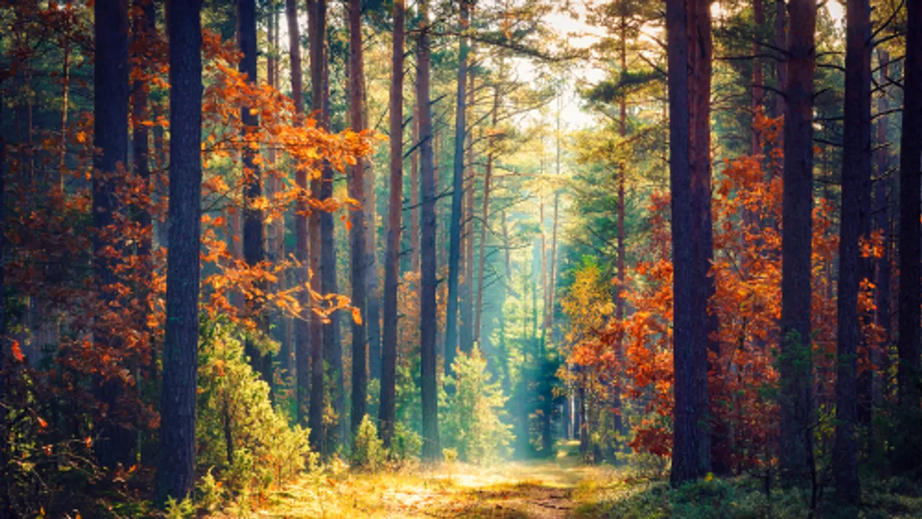 Hétfőn kezdődik a csillagászati ősz