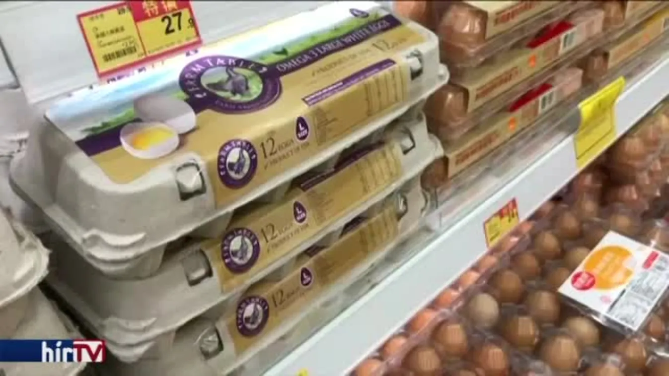 Kijutott Európából a fertőzött tojás