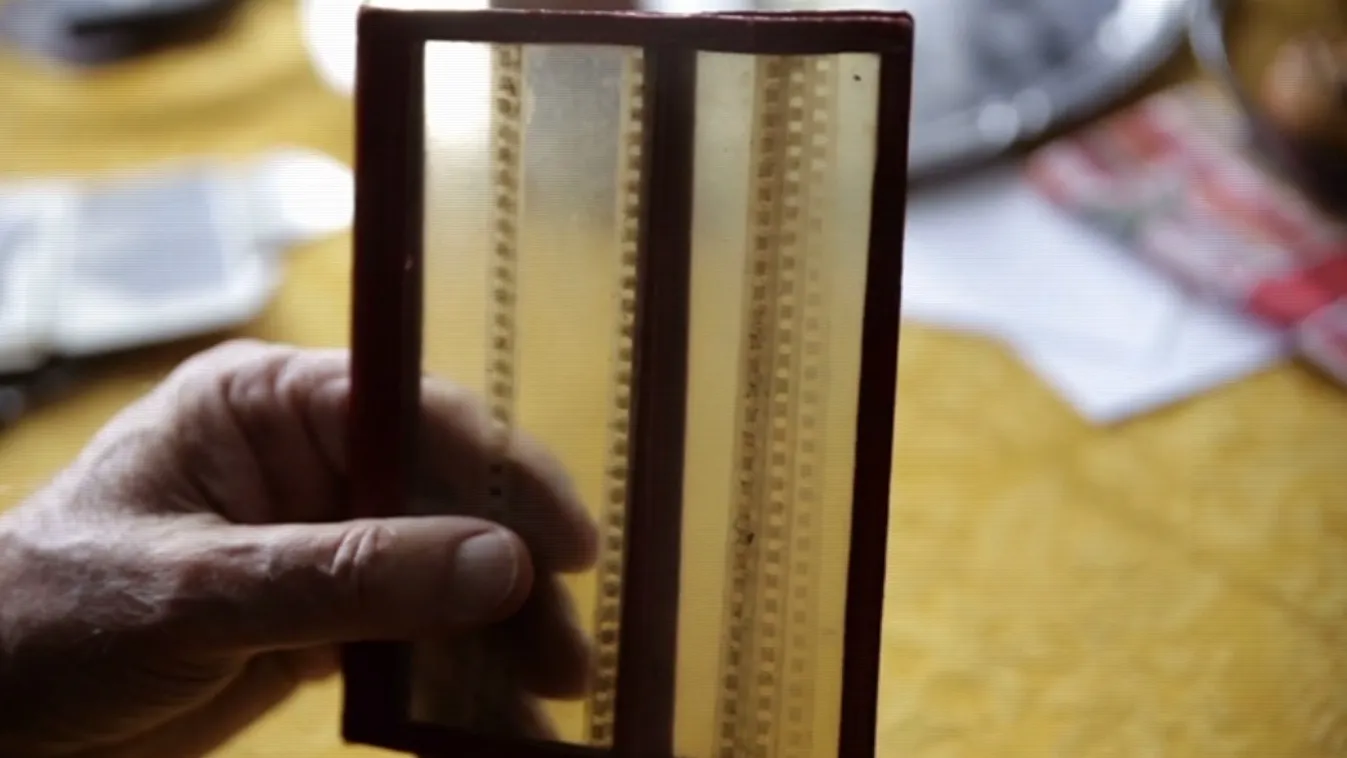 A sárga csikó nyomában – Vetítő