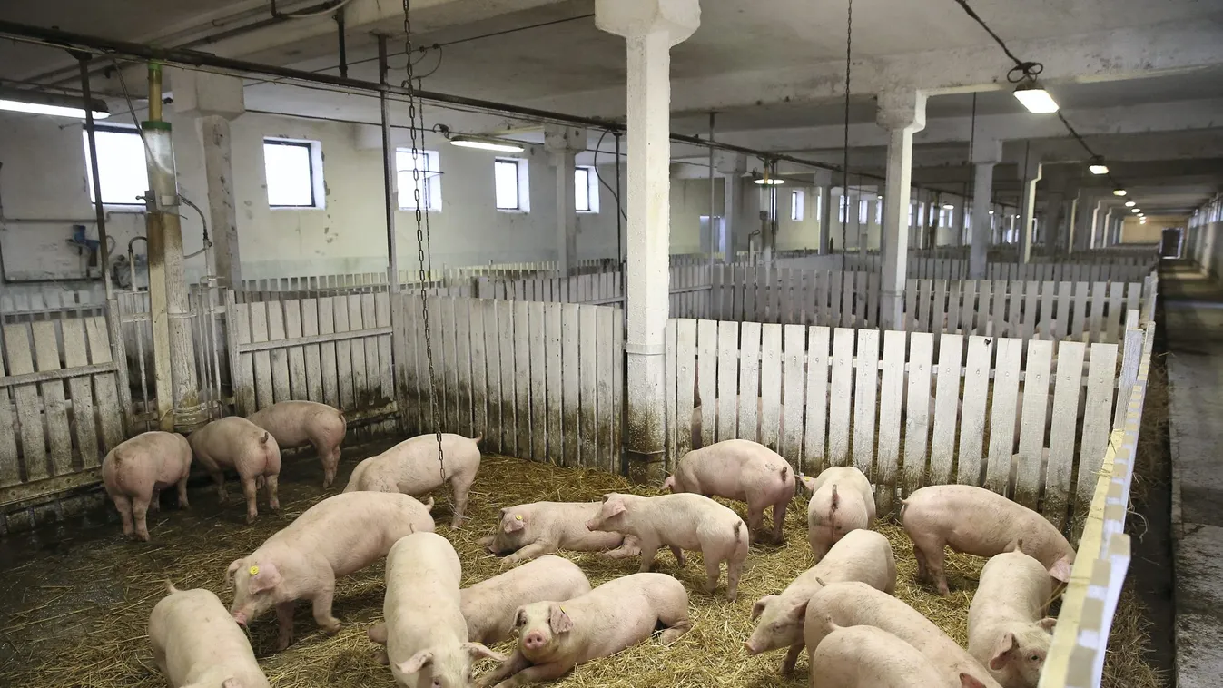 Rekordteljesítményt érhet el az agrárium idén