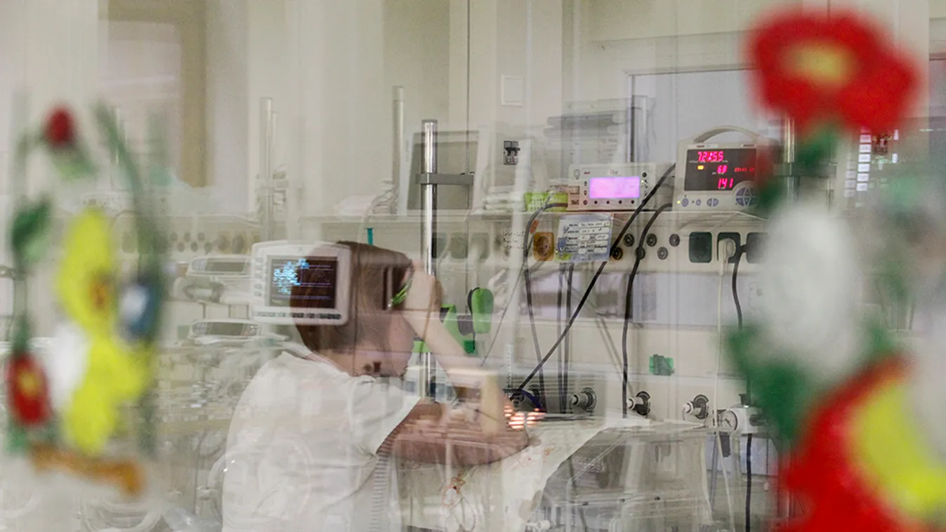 „Az ehetetlen étel csak a díszlet”