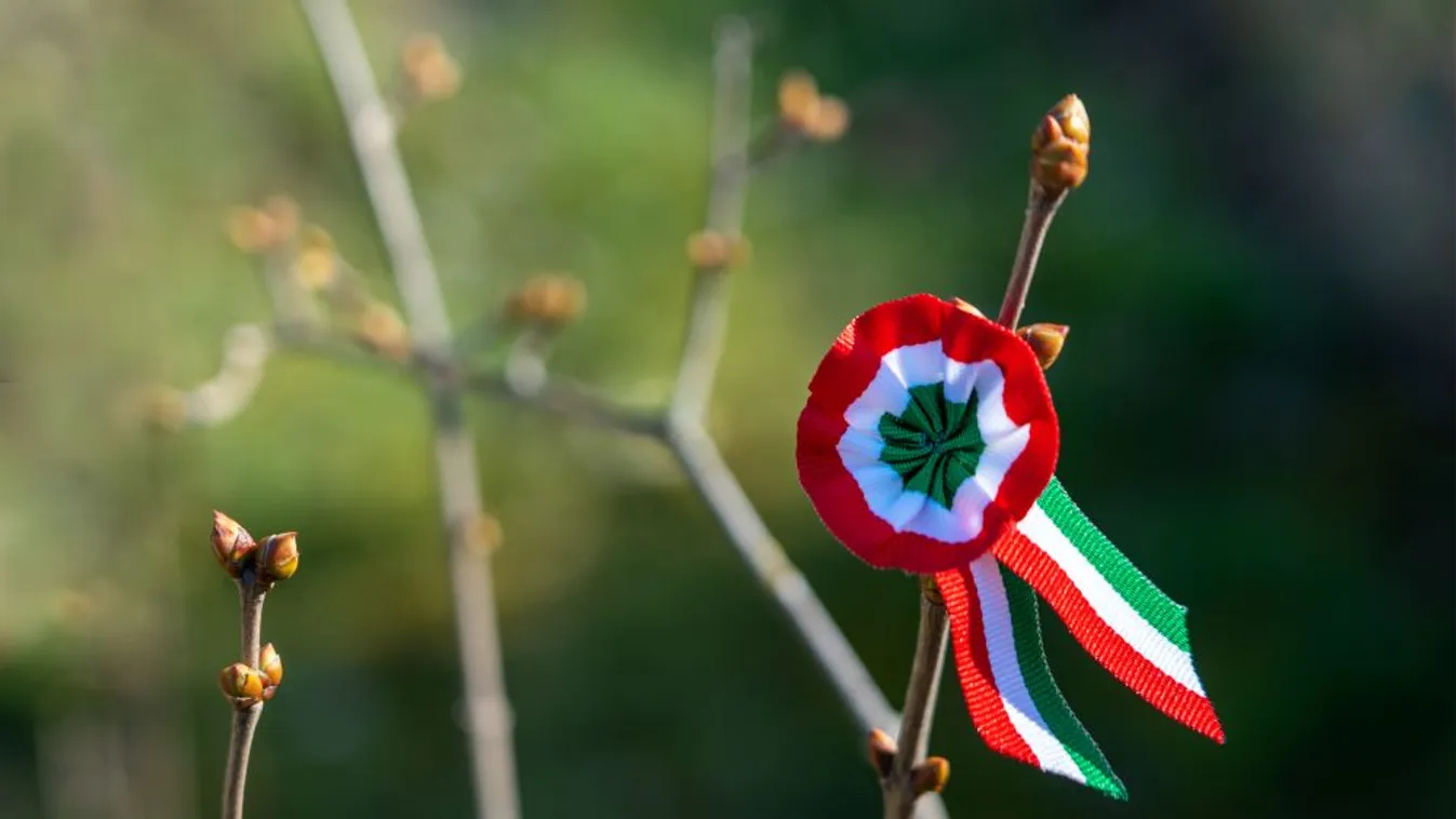 Fővárosi fideszes politikusok videóüzenete március 15. ünnepére