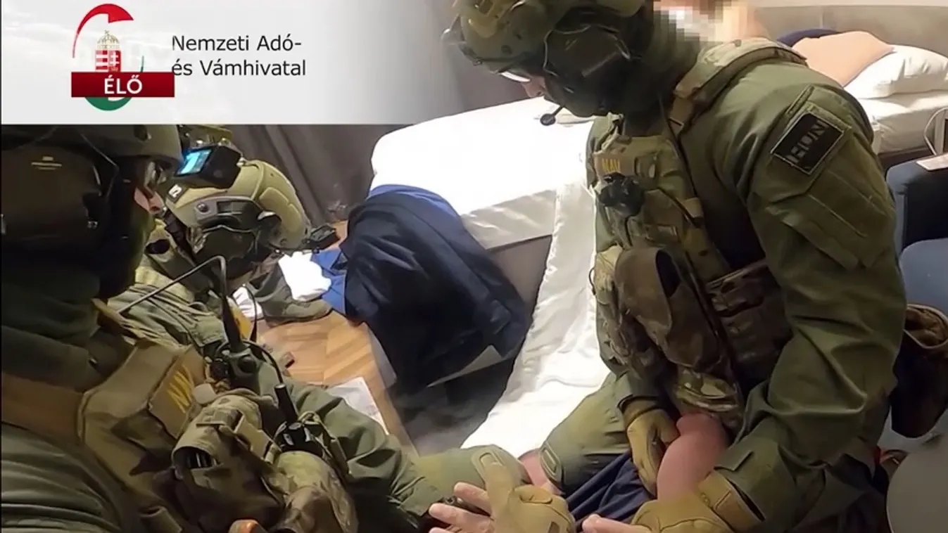 Ötszázöt millió forint kárt okozott a költségvetésnek egy szerb számlagyáros  + videó