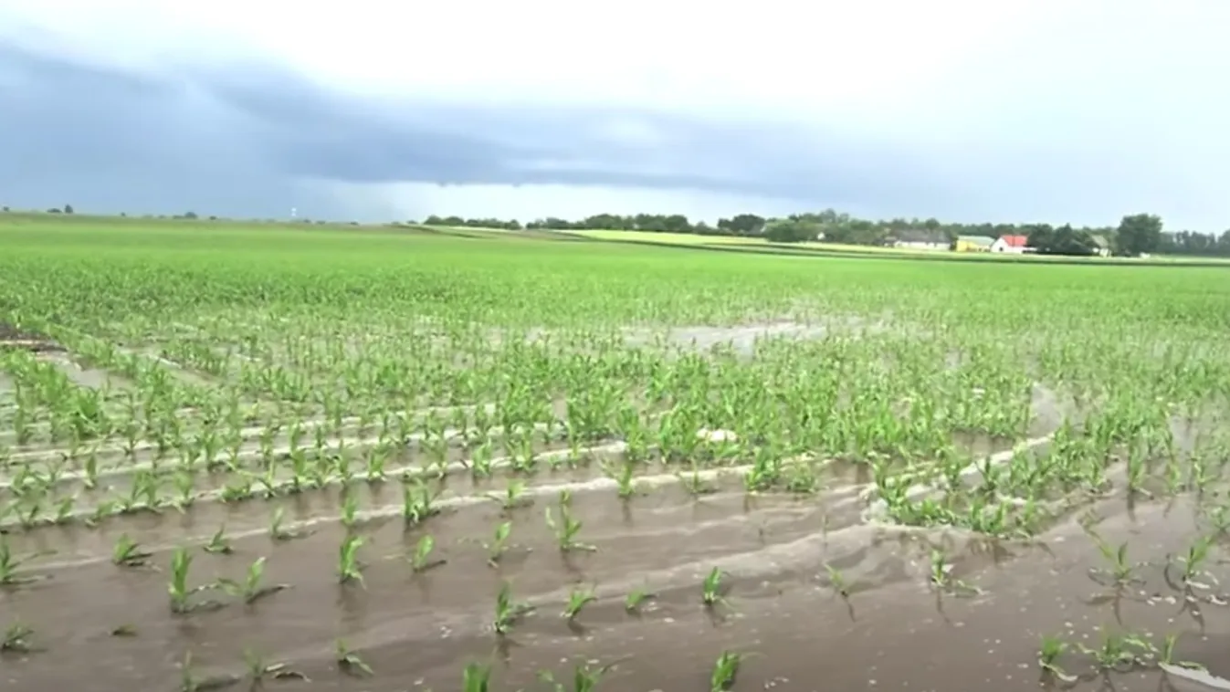 Durva esőzés volt Bogyiszlón, hömpölyög a víz a földeken + videó