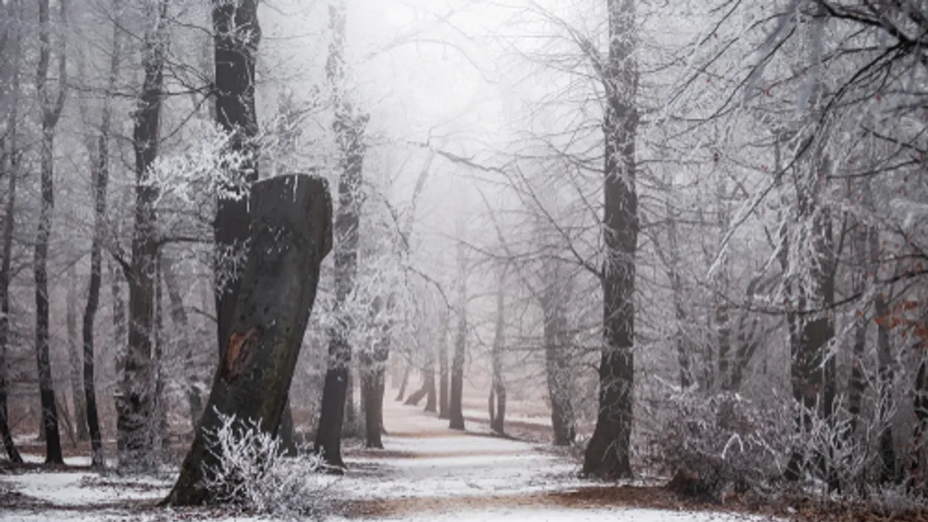 A havazás miatt az átlagosnál többször riasztották a tűzoltókat