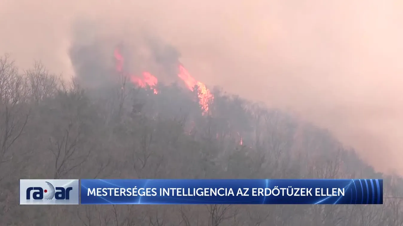 Radar - Mesterséges intelligencia az erdőtüzek ellen + videó
