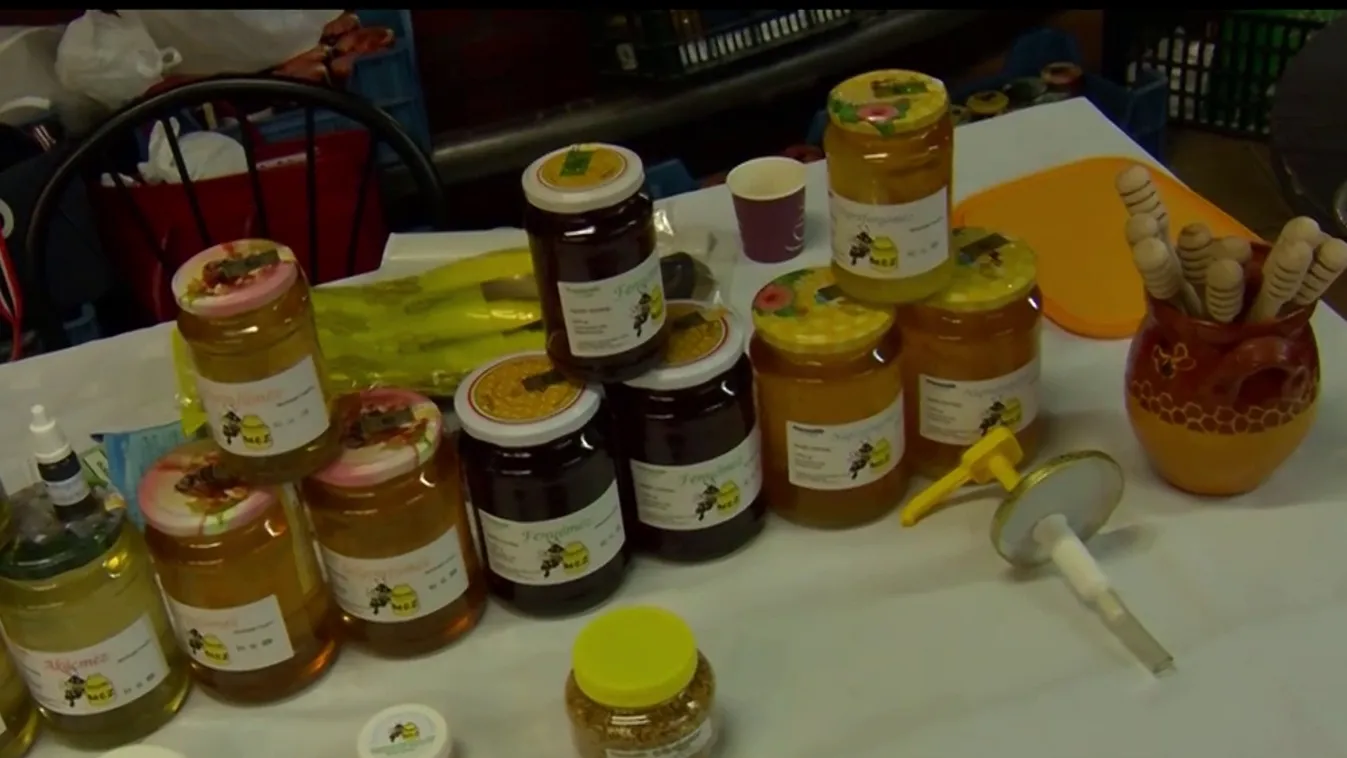 Napindító - Méhésztalálkozó Balassagyarmaton