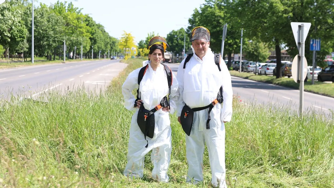 Szentkirályi Alexandra: Vadvirágos Budapest helyett, gazdátlan elhanyagolt dzsungelt kaptunk Karácsony Gergelytől + videó