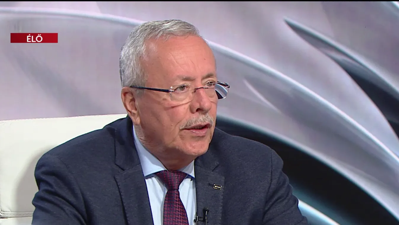 Illegális bevándorlás - Bakondi szerint a változó politikai nyilatkozatok inkább a jövő évi EP-választásnak szólnak