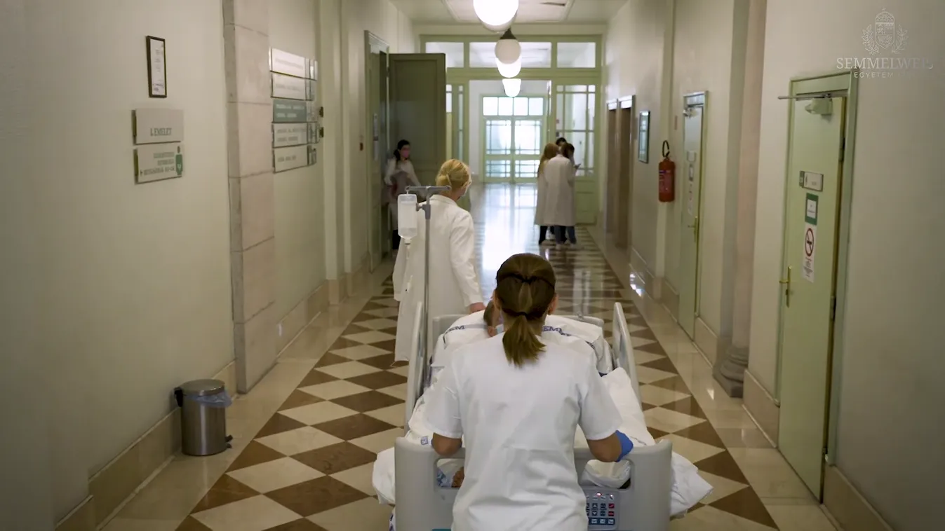 Radar - A szervadományozás életeket menthet