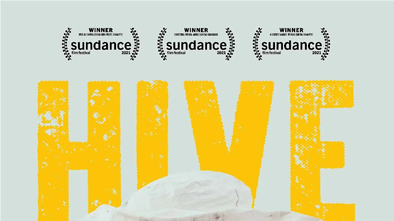 Erős programmal készül a 17. CineFest