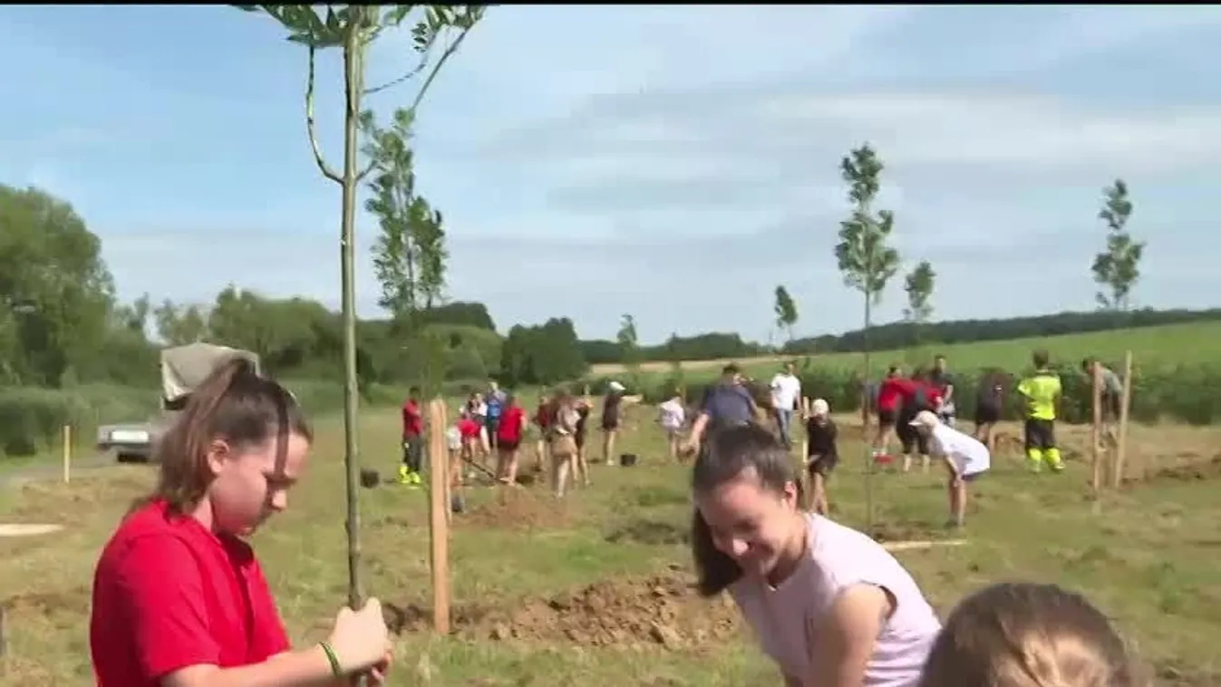 Ötven új fával gyarapodott Zalaegerszeg