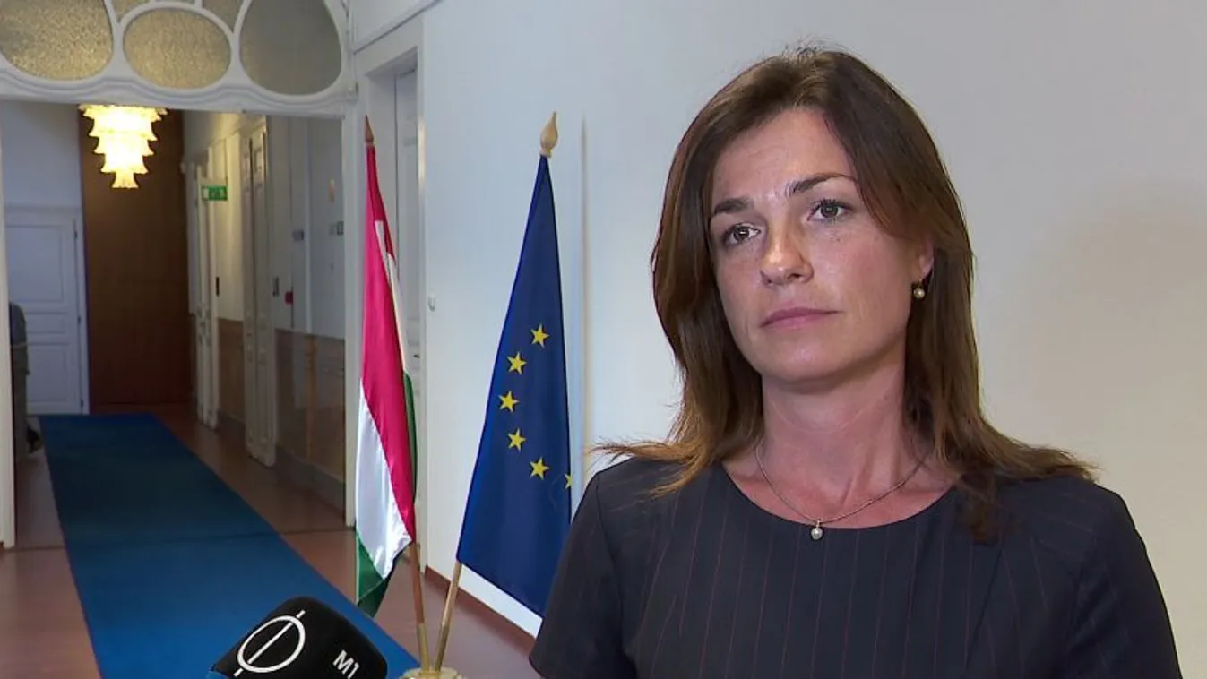 Varga Judit: Politikai alapon vádolták a magyar kormányt a koronavírus-törvény miatt