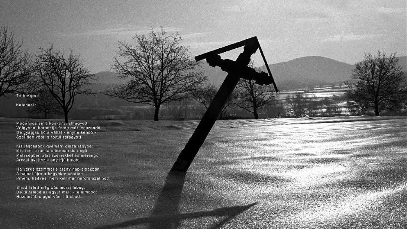 Megtámadja a közigazgatási bíróságon a prefektus az úzvölgyi temető lezárását