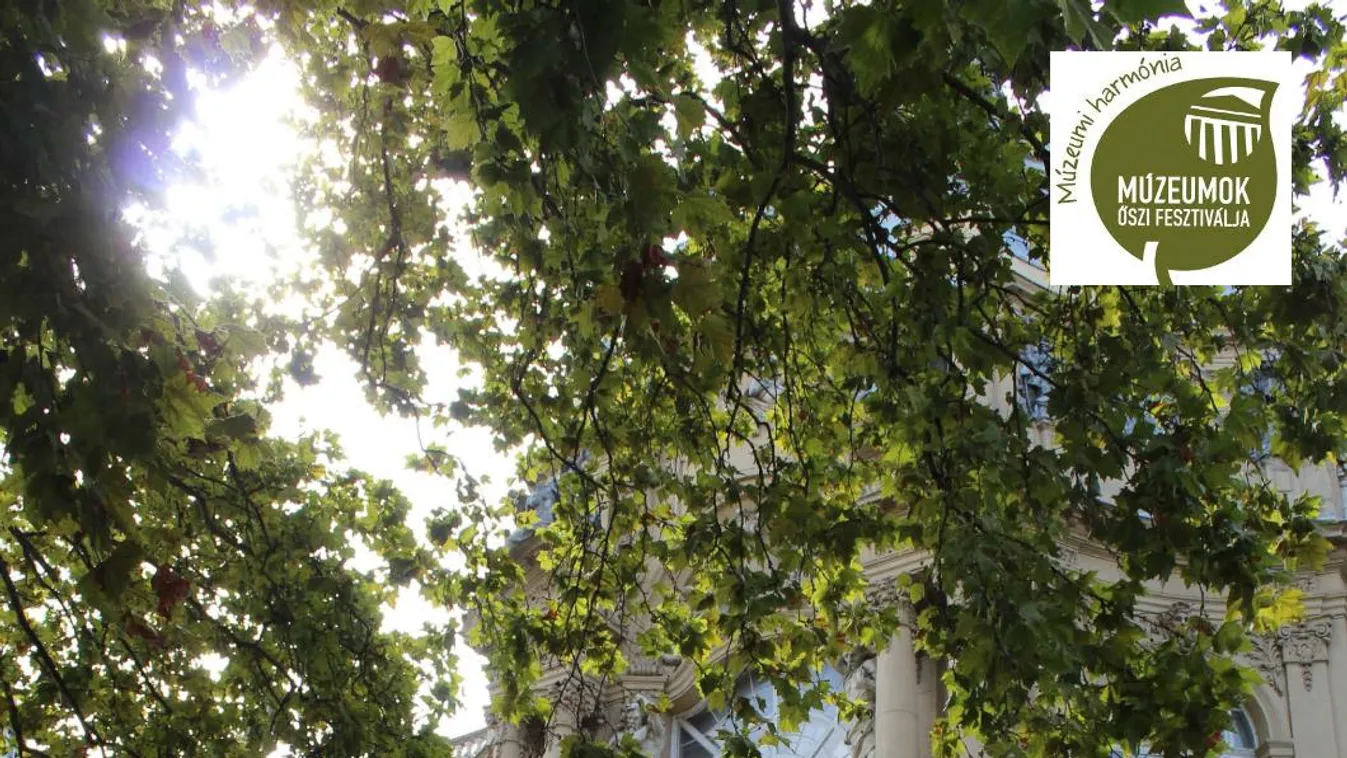 Ősszel is új kiállítások és programok a Vajdahunyadvárban