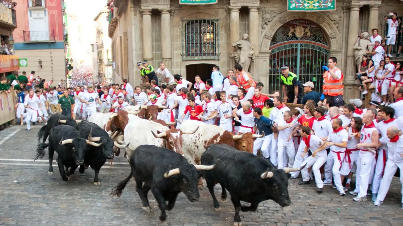 Pamplonában három öklelés volt az utolsó napi bikafuttatáson