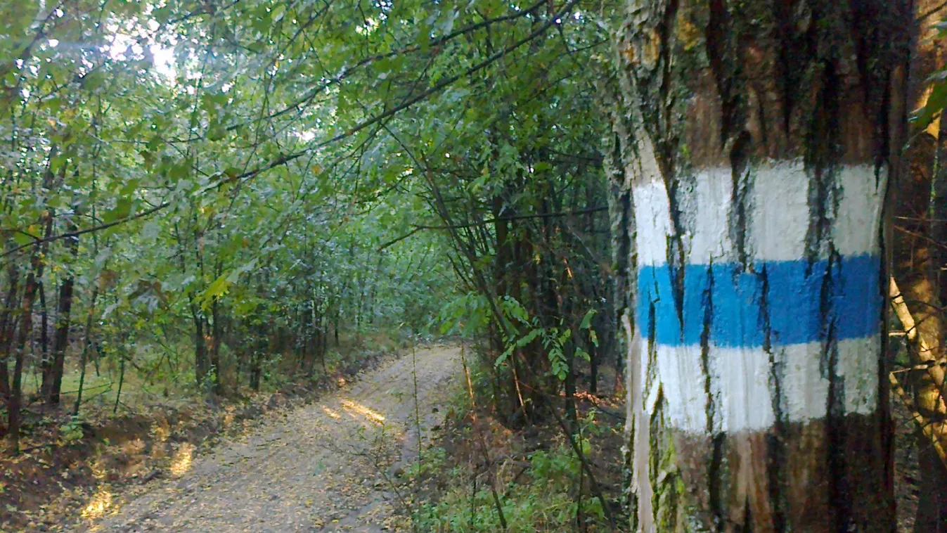 A világ legjobb utazási célpontjai közé választották az Országos Kéktúrát