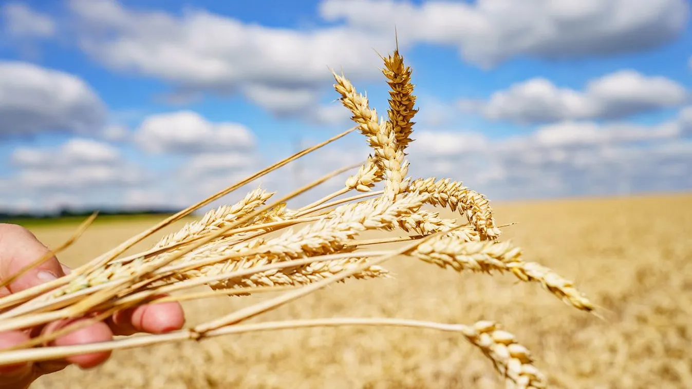 Ukrán miniszter: Nincs szó a gabonaszállítmányok leállításáról