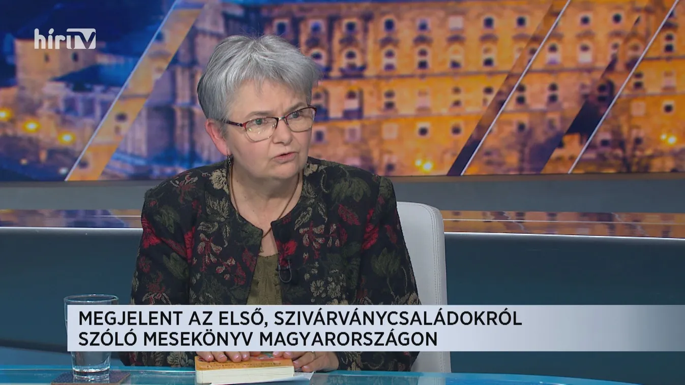 Pécsi Rita: A szivárványcsaládokról szóló mesekönyv megint egy lopakodó propaganda