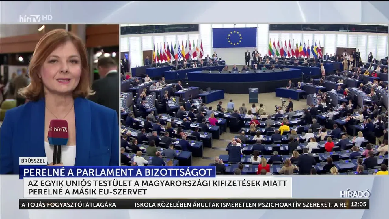 Az egyik uniós testület a magyarországi kifizetések miatt perelné a másik EU-szervet + videó