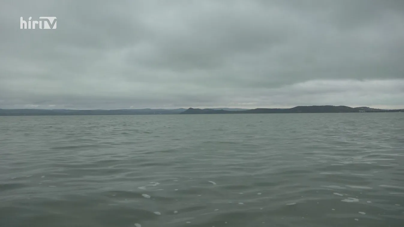 Soroló: Haltelepítés a Balatonba