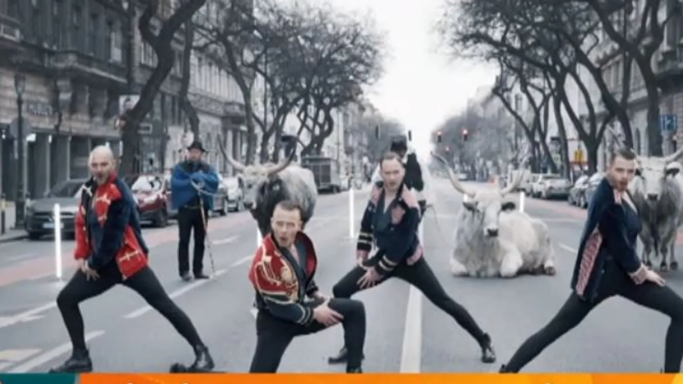 Mozaik - Néptánc-forradalmat indítottak