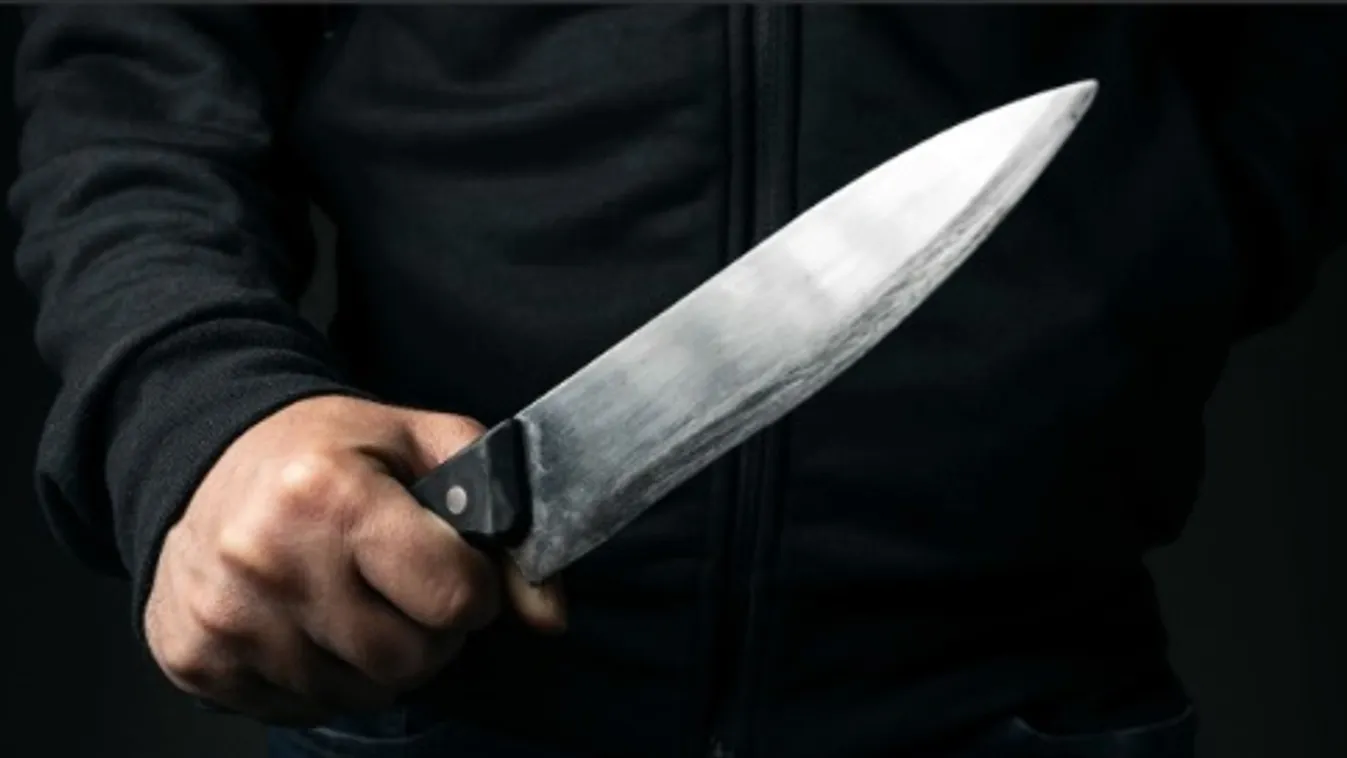 Késelés történt Hollandiában, egy rendőr is megsebesült