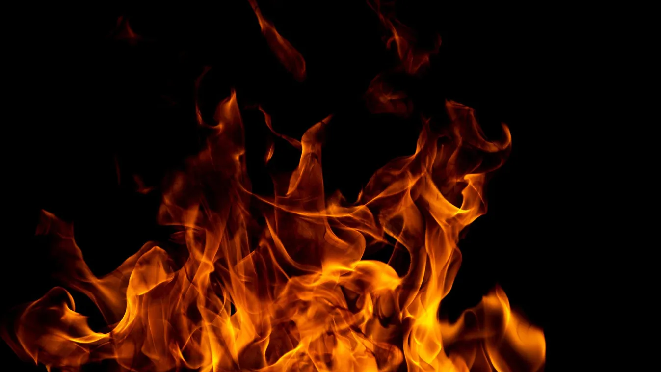 Tűzvészek késztették az embereket nyolcezer évvel ezelőtt a földművelésre egy izraeli tudós szerint